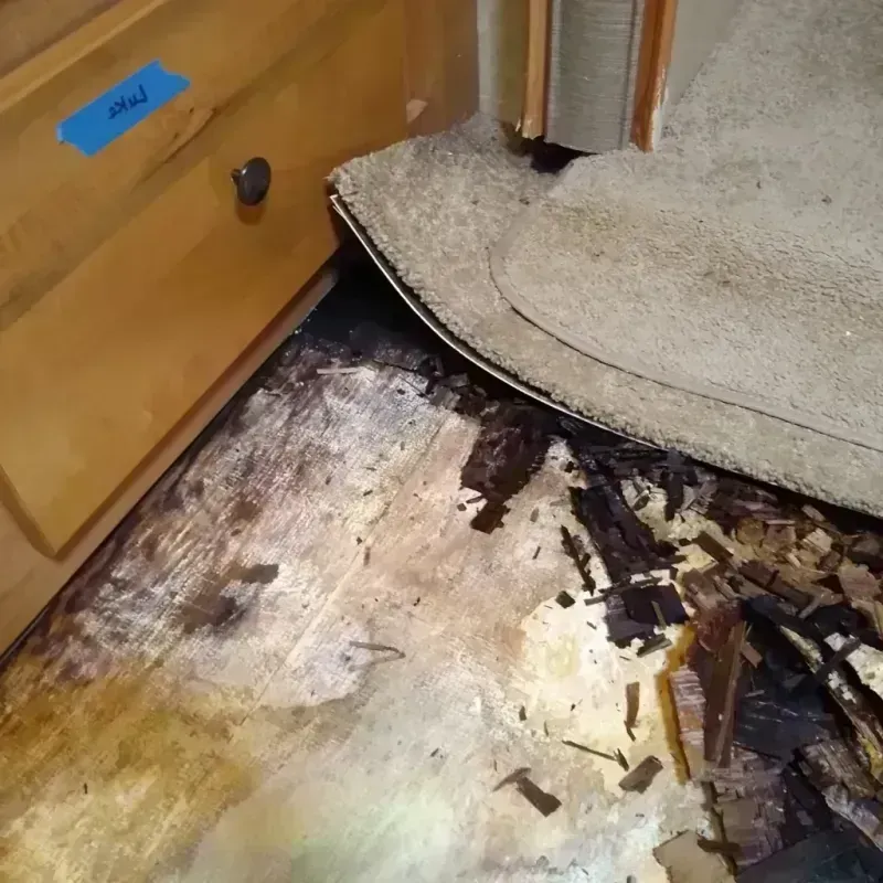 Wood Floor Water Damage in Coronado, CA